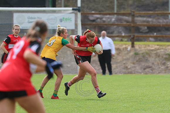 CLANN NA nGAEL V N FIONNBARRA-346