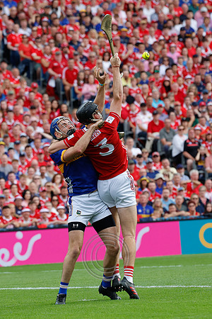 TIPP V CORK PLAY-0290