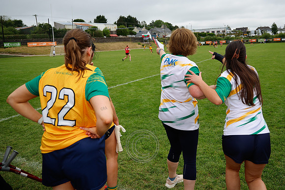 CLANN NA nGAEL V N FIONNBARRA-452