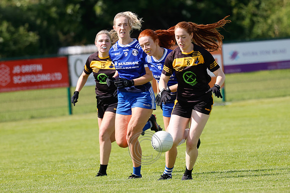 NAOMH ANNA V GAEIL FHANADA-15