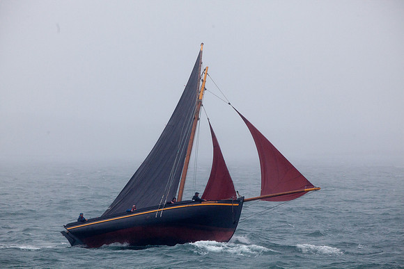 FéileRosamhil14_02-0148