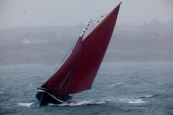 FéileRosamhil14_02-0078