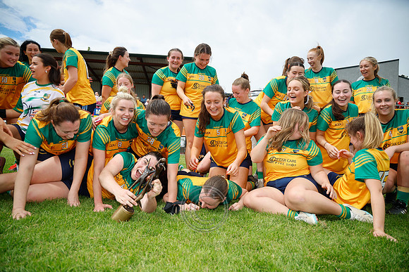 CLANN NA nGAEL V N FIONNBARRA-687