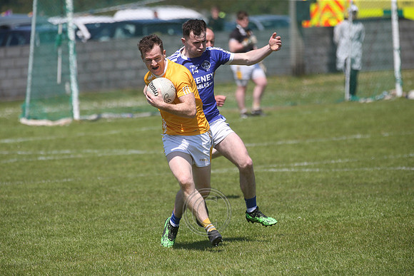 CARNA CAISEAL V GAEIL FHÁNADA-40