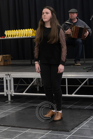 CEILIÚRADH NA N-ÓG-318