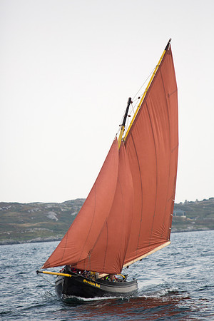 RásanCn14-1557