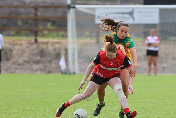 CLANN NA nGAEL V N FIONNBARRA-362