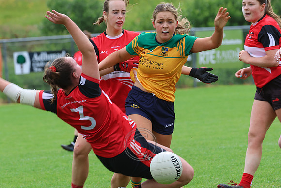 CLANN NA nGAEL V N FIONNBARRA-35