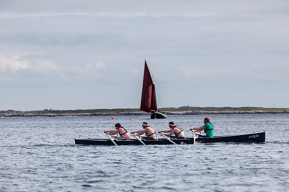 Féile_CnaRón2_14-8437