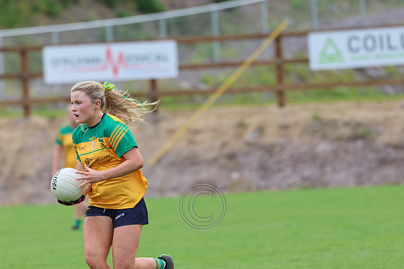 CLANN NA nGAEL V N FIONNBARRA-206
