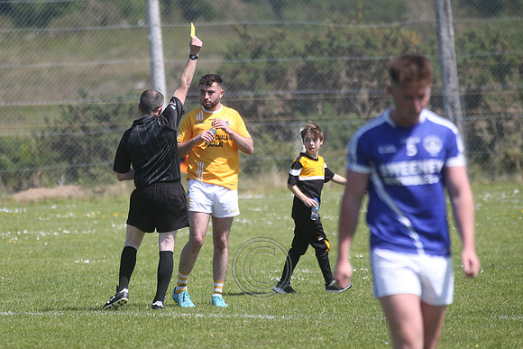 CARNA CAISEAL V GAEIL FHÁNADA-215