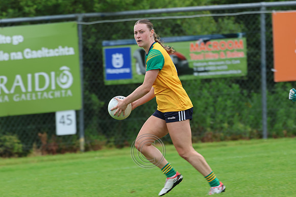 CLANN NA nGAEL V N FIONNBARRA-60
