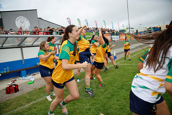 CLANN NA nGAEL V N FIONNBARRA-508