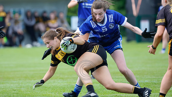 NAOMH ANNA V GAEIL FHANADA-211
