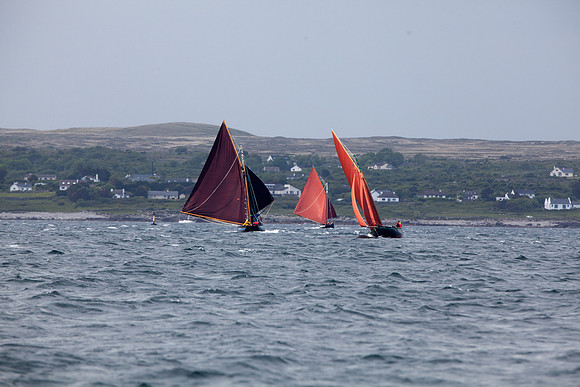 FeileBadSpid14-5451