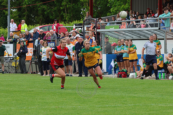 CLANN NA nGAEL V N FIONNBARRA-261
