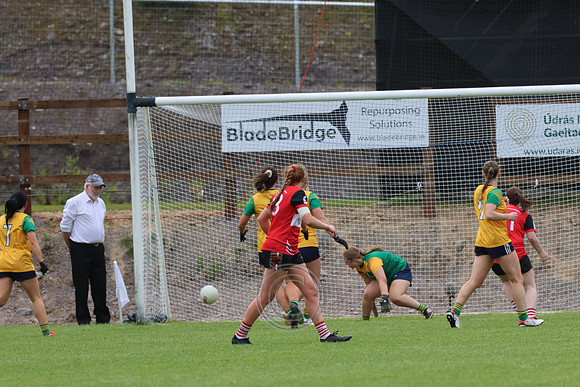 CLANN NA nGAEL V N FIONNBARRA-178