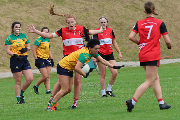 CLANN NA nGAEL V N FIONNBARRA-412