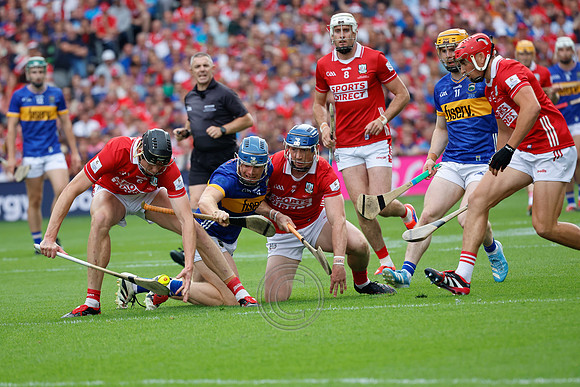 TIPP V CORK PLAY-0267