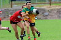 CLANN NA nGAEL V N FIONNBARRA-28