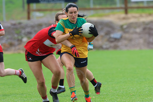 CLANN NA nGAEL V N FIONNBARRA-28