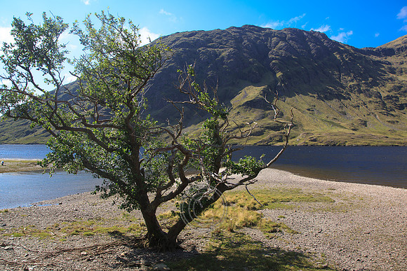 CarverTour15-0083