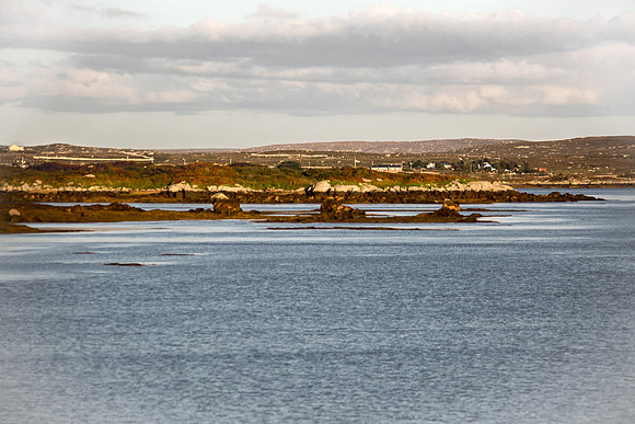 29_Fraochoileán_Mór