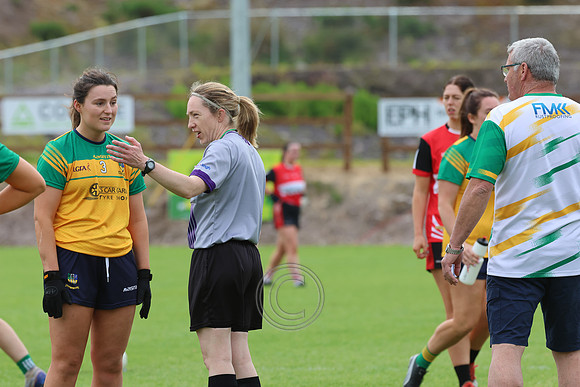 CLANN NA nGAEL V N FIONNBARRA-394