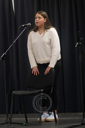 CEILIÚRADH NA N-ÓG-485