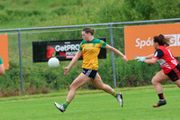 CLANN NA nGAEL V N FIONNBARRA-62