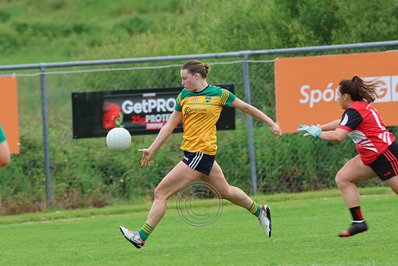 CLANN NA nGAEL V N FIONNBARRA-62