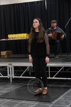 CEILIÚRADH NA N-ÓG-317