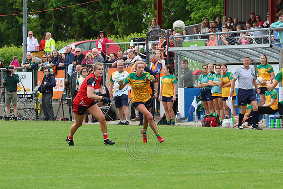 CLANN NA nGAEL V N FIONNBARRA-259
