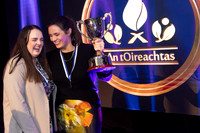 OIREACHTAS NA GAEILGE 2024