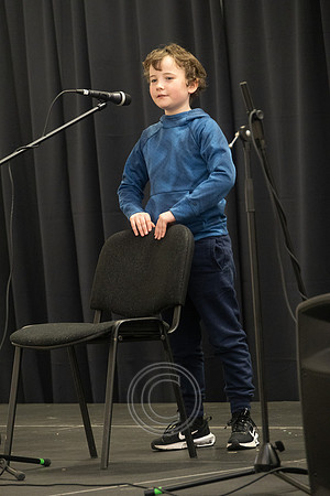 CEILIÚRADH NA N-ÓG-454