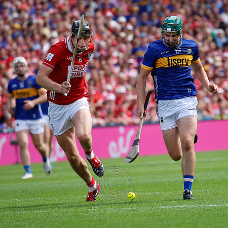TIPP V CORK PLAY-0582