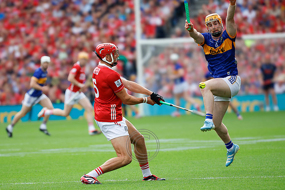 TIPP V CORK PLAY-0307