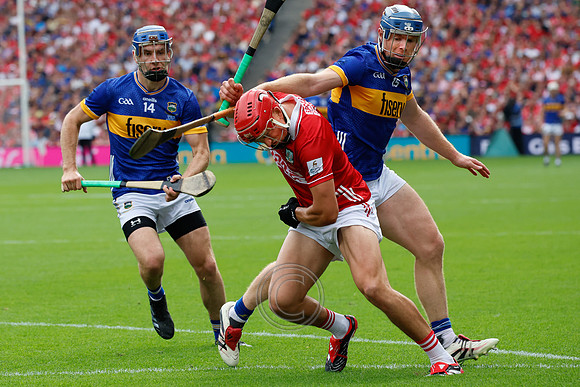 TIPP V CORK PLAY-0350