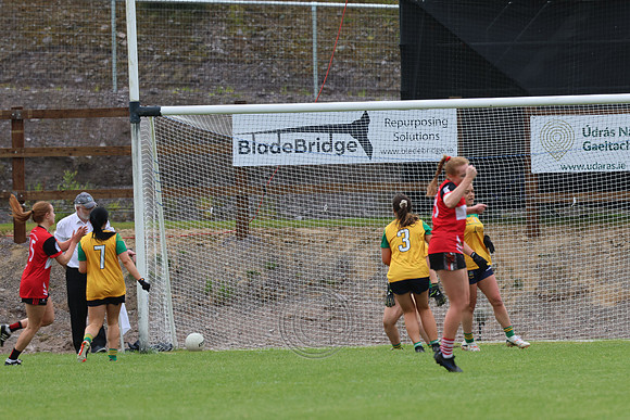 CLANN NA nGAEL V N FIONNBARRA-188