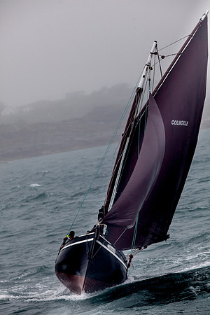 FéileRosamhil14_02-0169