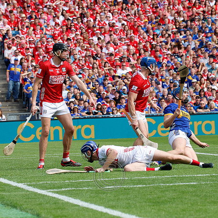 TIPP V CORK PLAY-0656