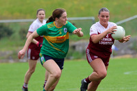 BAILE CLÁR NA GAILLIMHE V AN TEARMANN 2024