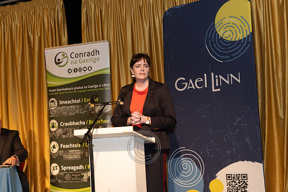 OIREACHTAS NA GAEILGE 2024