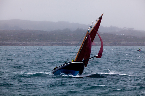 FéileRosamhil14_02-0132