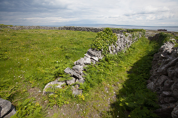 inisOírr14-5008