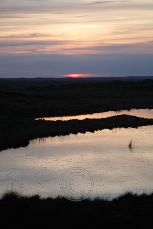 CONNEMARA BOG PIER-0048
