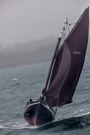 FéileRosamhil14_02-0169