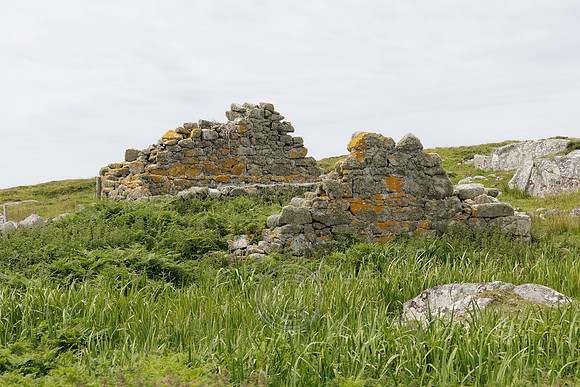 MACDARA-130
