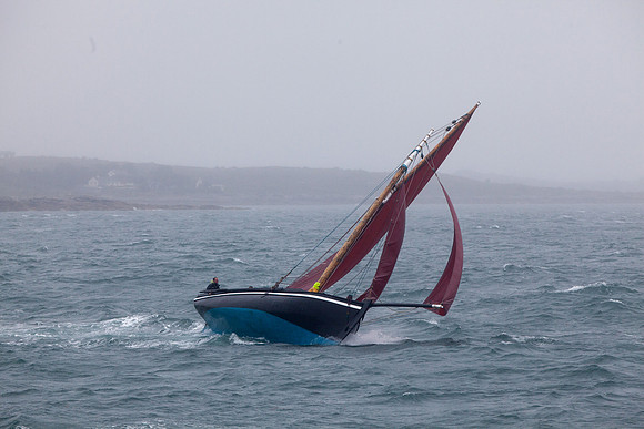 FéileRosamhil14_02-0145