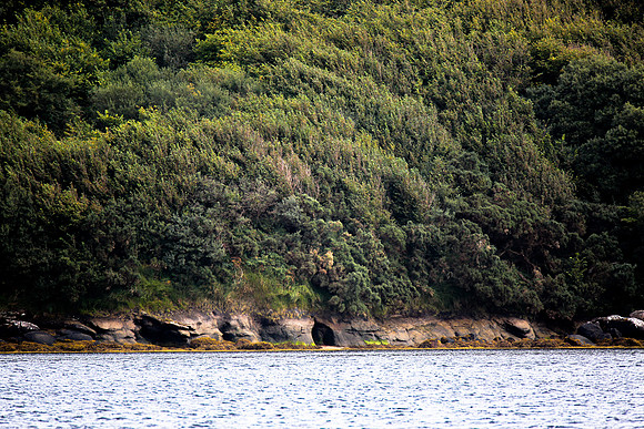 10 PollanPhíobaire-0723